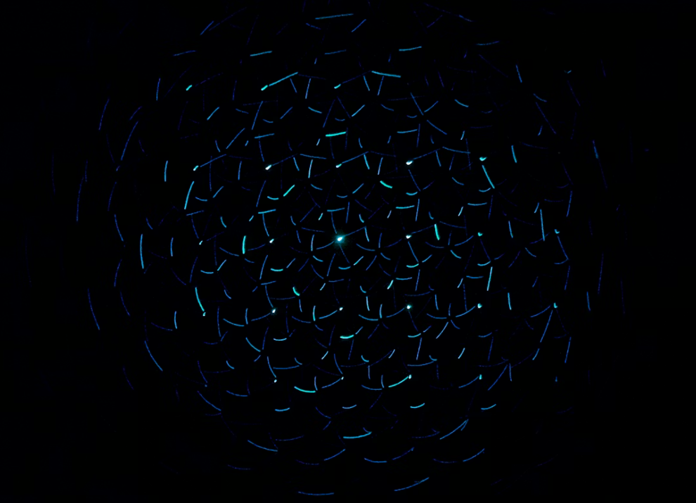 Code editor terminal showing developer scripts and syntax